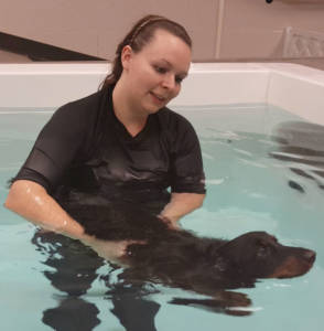 animal rehabilitation