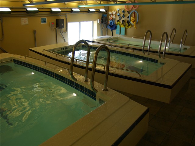 500 T series hydrotherapy pool