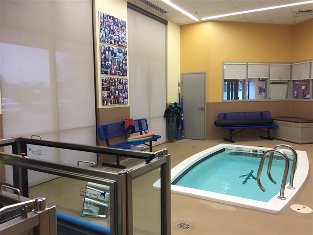aqautic therapy pool for veterinarians