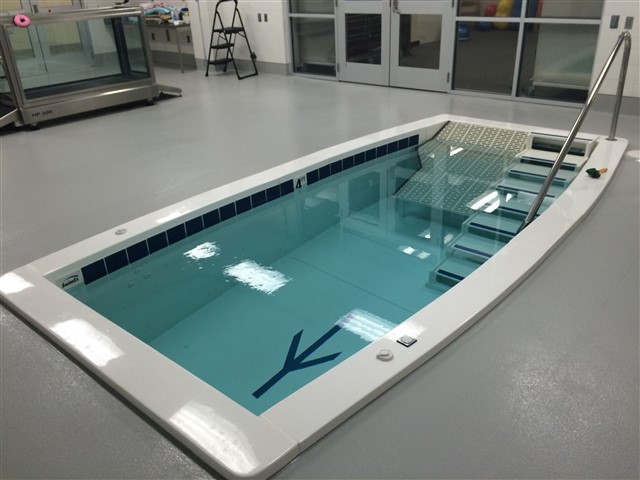 hydrotherapy pool Auburn University